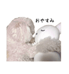 ぷてぃちゃん（個別スタンプ：7）