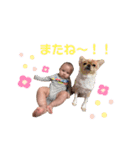 新ちゃんすたんぷぷ（個別スタンプ：21）