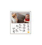 新ちゃんすたんぷぷ（個別スタンプ：35）