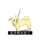動物字幕スタンプ（どうぶつじまく）（個別スタンプ：1）
