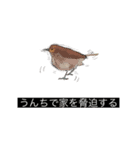 動物字幕スタンプ（どうぶつじまく）（個別スタンプ：3）