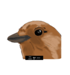 動物字幕スタンプ（どうぶつじまく）（個別スタンプ：5）