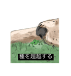 動物字幕スタンプ（どうぶつじまく）（個別スタンプ：6）