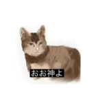 動物字幕スタンプ（どうぶつじまく）（個別スタンプ：7）