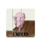 動物字幕スタンプ（どうぶつじまく）（個別スタンプ：8）