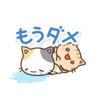 毎日便利な☆5匹のちび猫（個別スタンプ：23）