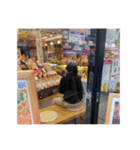 外道と愉快な仲間たち4（個別スタンプ：15）