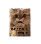 外道と愉快な仲間たち4（個別スタンプ：21）