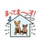 らぶさんまろさんスタンプ2（個別スタンプ：11）