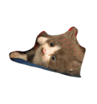 わんぱく子猫①（個別スタンプ：7）