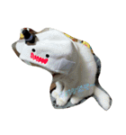わんぱく子猫①（個別スタンプ：16）