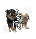 すこかねさすこじ（個別スタンプ：6）