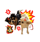 すこかねさすこじ（個別スタンプ：7）