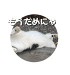 ちゃ香 ①(改良版)（個別スタンプ：9）