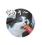 ちゃ香 ①(改良版)（個別スタンプ：18）