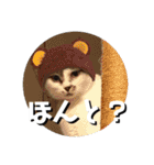 ちゃ香 ①(改良版)（個別スタンプ：23）