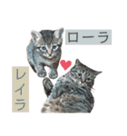 ウミコム日記 フォロワー様スタンプ①（個別スタンプ：1）