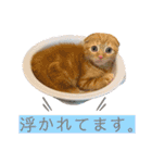 ウミコム日記 フォロワー様スタンプ①（個別スタンプ：5）
