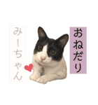 ウミコム日記 フォロワー様スタンプ①（個別スタンプ：10）