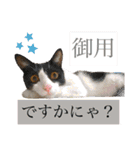 ウミコム日記 フォロワー様スタンプ①（個別スタンプ：11）