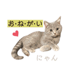 ウミコム日記 フォロワー様スタンプ①（個別スタンプ：14）