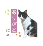 ウミコム日記 フォロワー様スタンプ①（個別スタンプ：17）