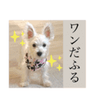 ウミコム日記 フォロワー様スタンプ①（個別スタンプ：23）