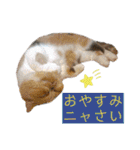 ウミコム日記 フォロワー様スタンプ①（個別スタンプ：28）