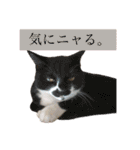 ウミコム日記 フォロワー様スタンプ①（個別スタンプ：29）