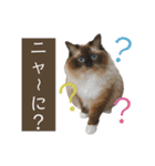 ウミコム日記 フォロワー様スタンプ①（個別スタンプ：30）