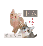 ウミコム日記 フォロワー様スタンプ①（個別スタンプ：33）