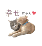 ウミコム日記 フォロワー様スタンプ①（個別スタンプ：34）
