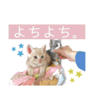ウミコム日記 フォロワー様スタンプ①（個別スタンプ：36）