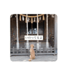 TONOの（個別スタンプ：2）