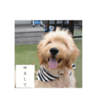 TONOの（個別スタンプ：7）