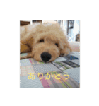 TONOの（個別スタンプ：9）
