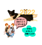 年末から2022年挨拶スタンプ（個別スタンプ：8）