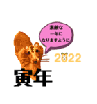 年末から2022年挨拶スタンプ（個別スタンプ：16）