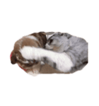 モフねこモフうさ2（個別スタンプ：4）