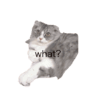 モフねこモフうさ2（個別スタンプ：12）