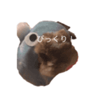 モフねこモフうさ2（個別スタンプ：15）
