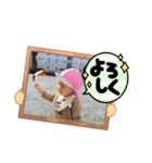 ふうたん⑥（個別スタンプ：24）
