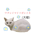 ハナテン2（個別スタンプ：7）