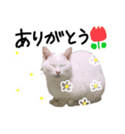 ハナテン2（個別スタンプ：10）