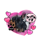 らんどフレンチブルドッグビーグルMIX犬（個別スタンプ：1）