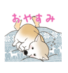 柴犬の姫子（個別スタンプ：3）