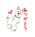 柴犬の姫子（個別スタンプ：4）