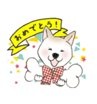 柴犬の姫子（個別スタンプ：5）