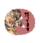 ♡たきびちゃん＆はなびちゃん（個別スタンプ：4）