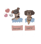 ♡たきびちゃん＆はなびちゃん（個別スタンプ：5）